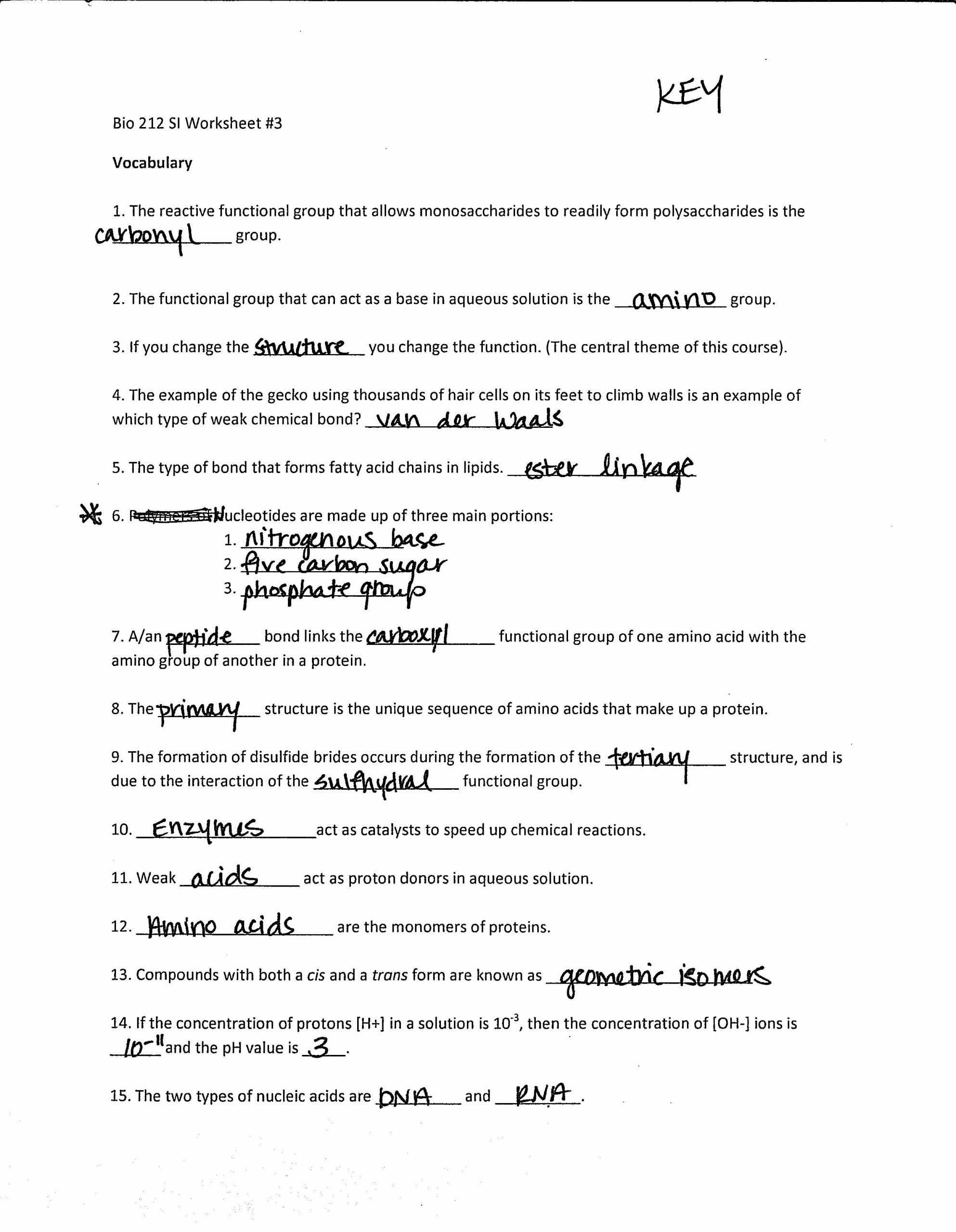 Dna Structure Worksheet Answer Key Dna and Rna Worksheet Pairing