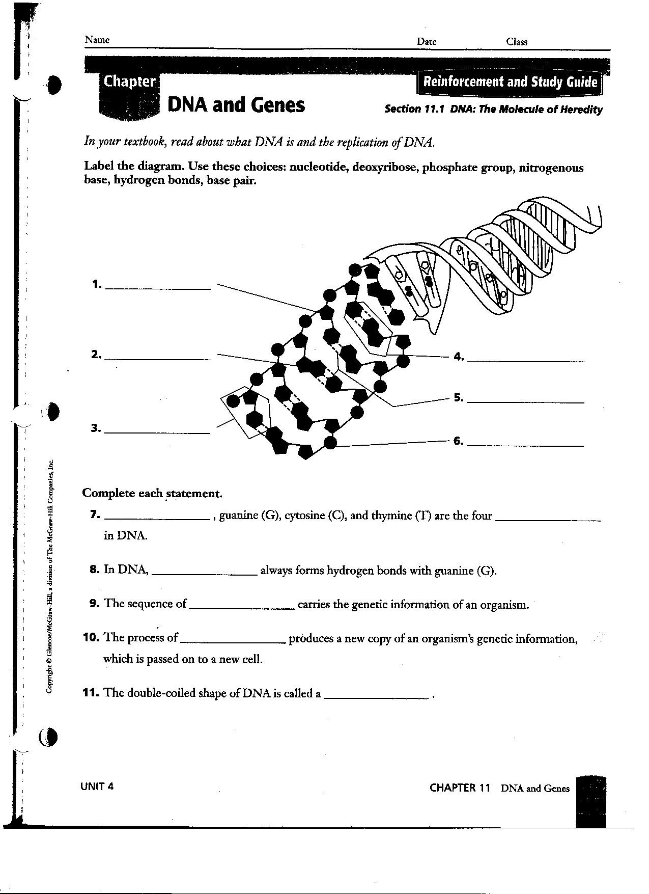 Dna Structure Worksheet Answer Key Dna Rna and Replication Worksheet Answer Key Worksheet List