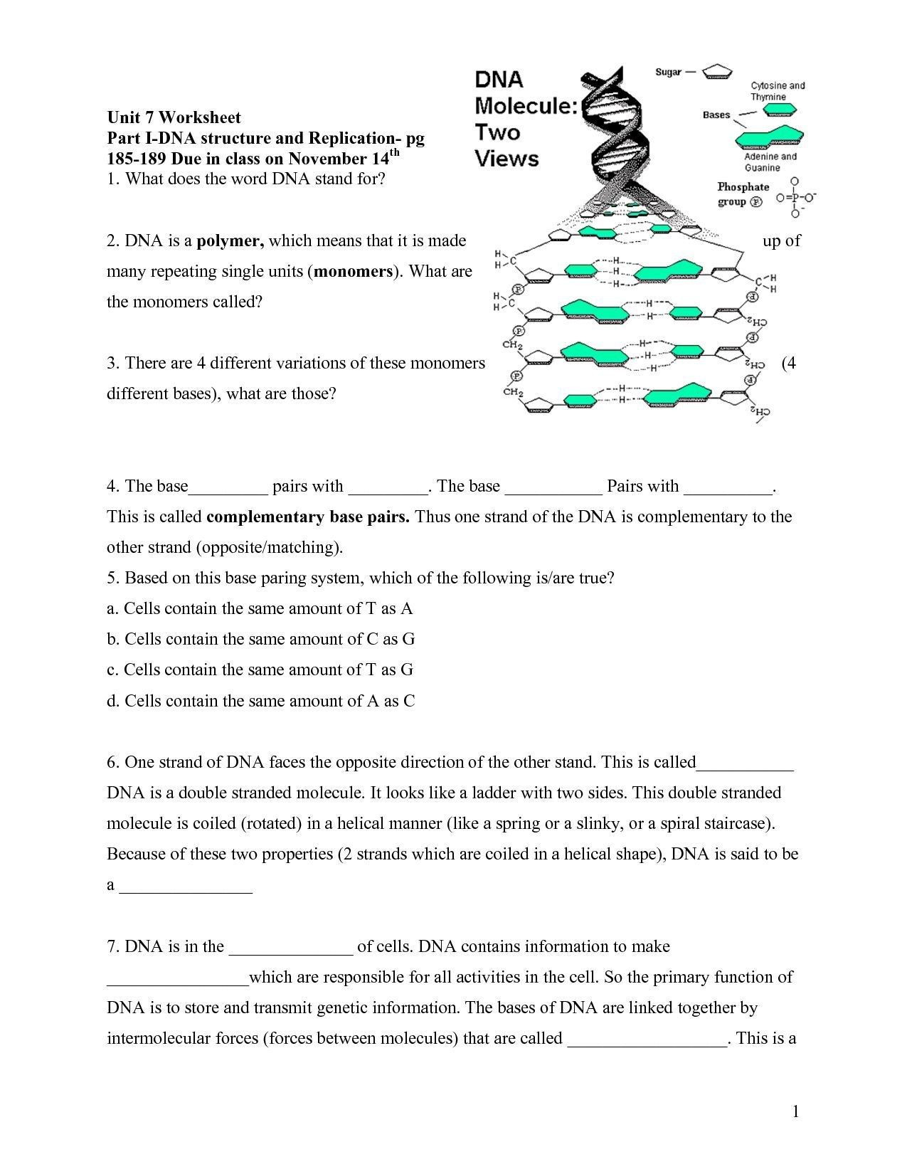 Dna Structure Worksheet Answer Key Molarity Calculations Worksheet
