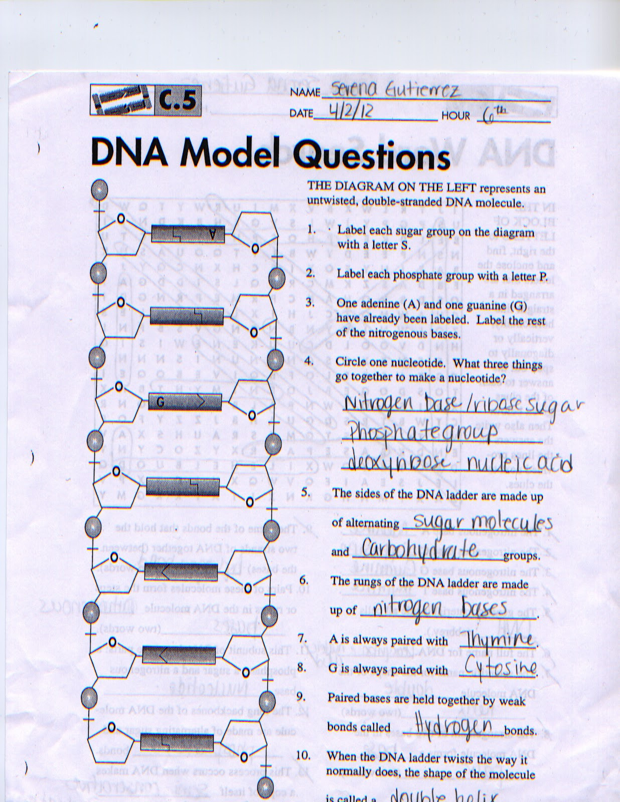 Dna the Double Helix Worksheet Biology Dna Structure