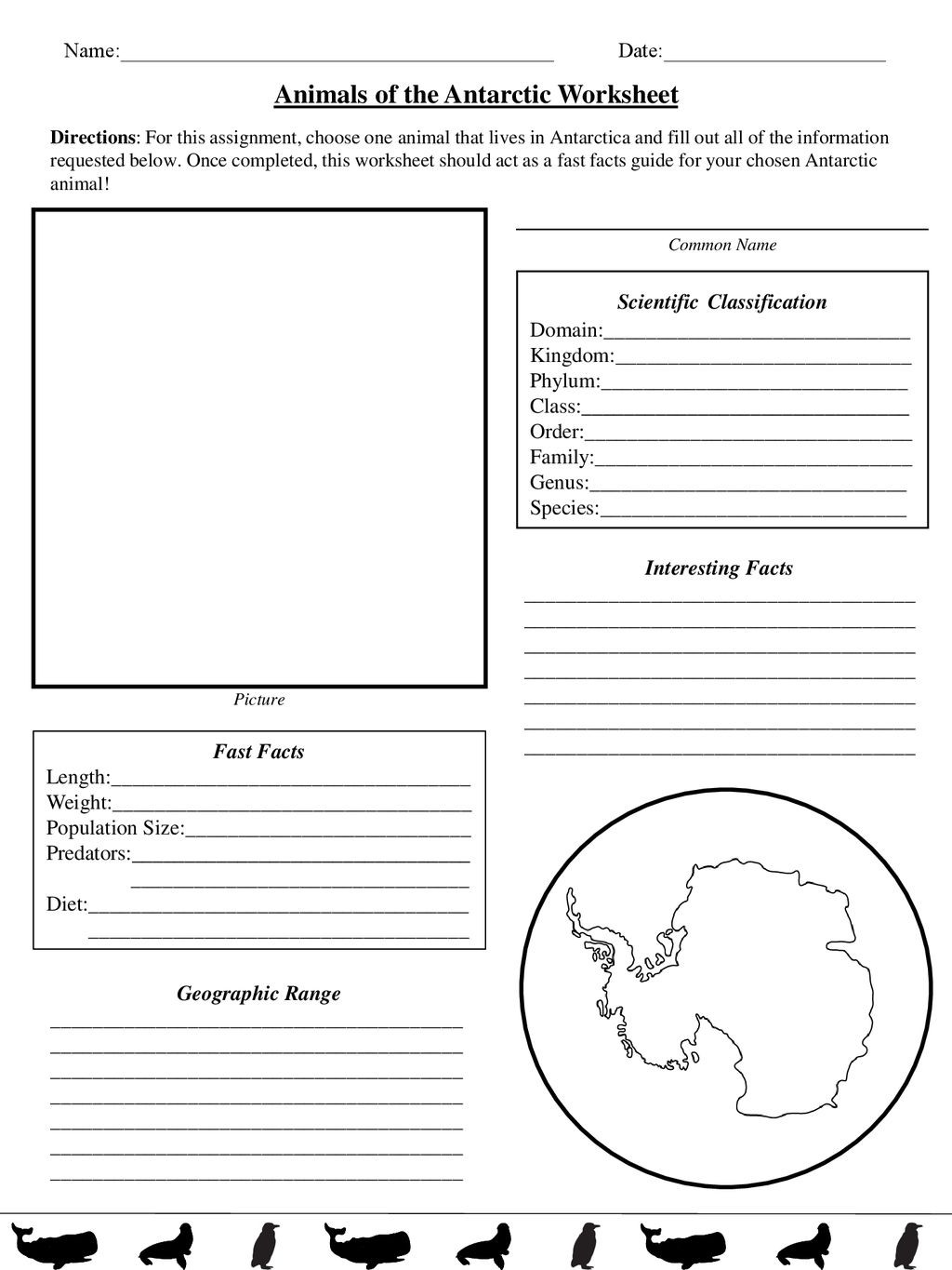 Domains and Kingdoms Worksheet Animals Of the Antarctic Worksheet Scientific Classification