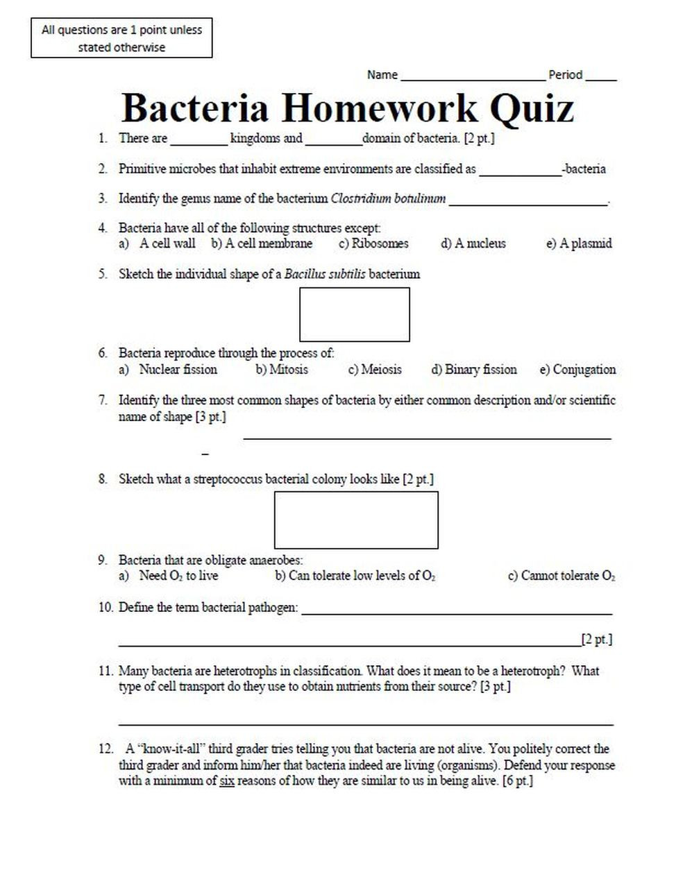 Domains and Kingdoms Worksheet Bacteria Homework Quiz
