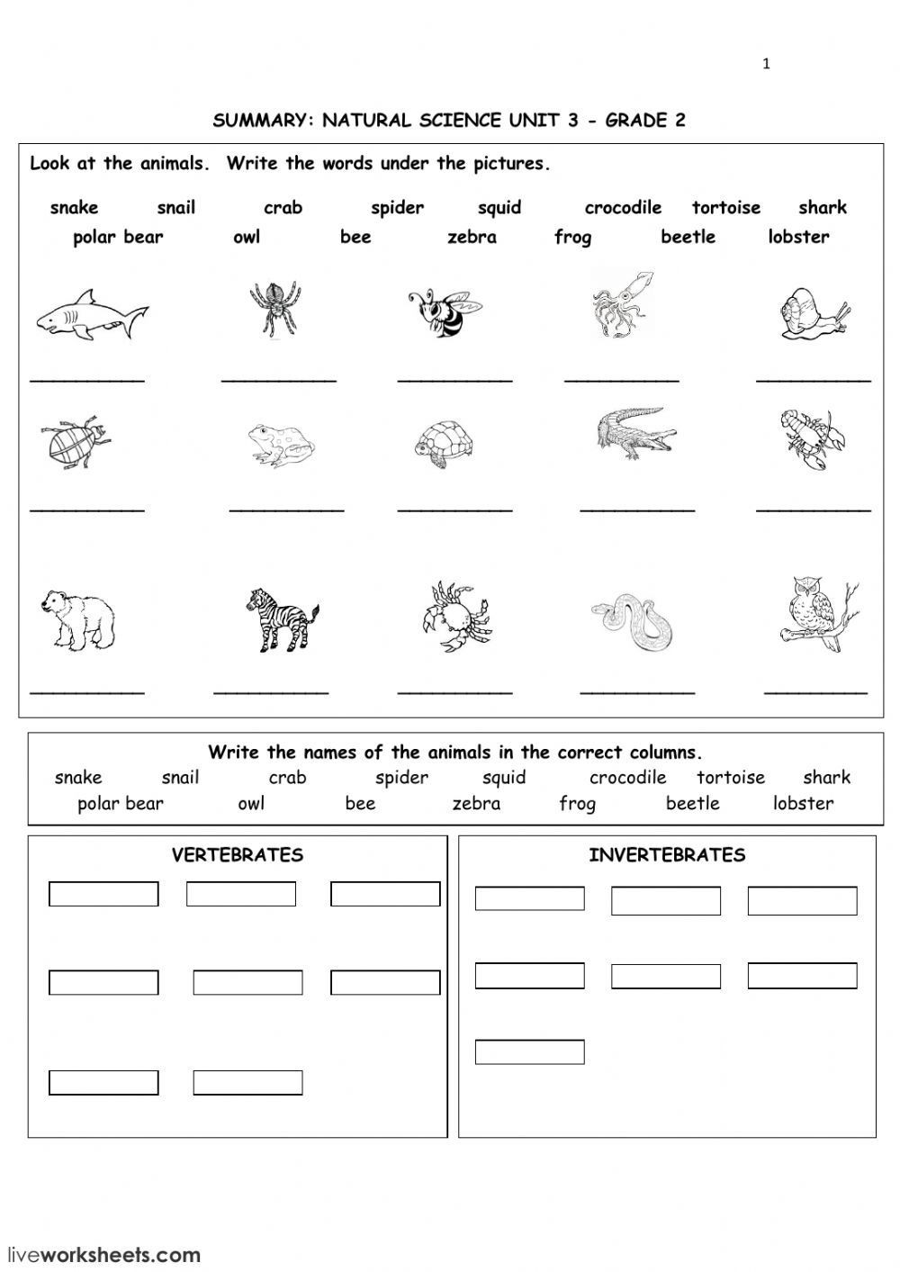 Domains and Kingdoms Worksheet the Animal Kingdom Interactive and Able Worksheet