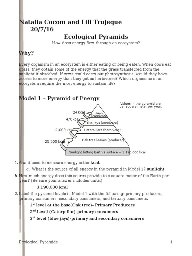 Ecological Pyramids Worksheet Answer Key 26 Ecological Pyramids Natalia Biomass Ecology