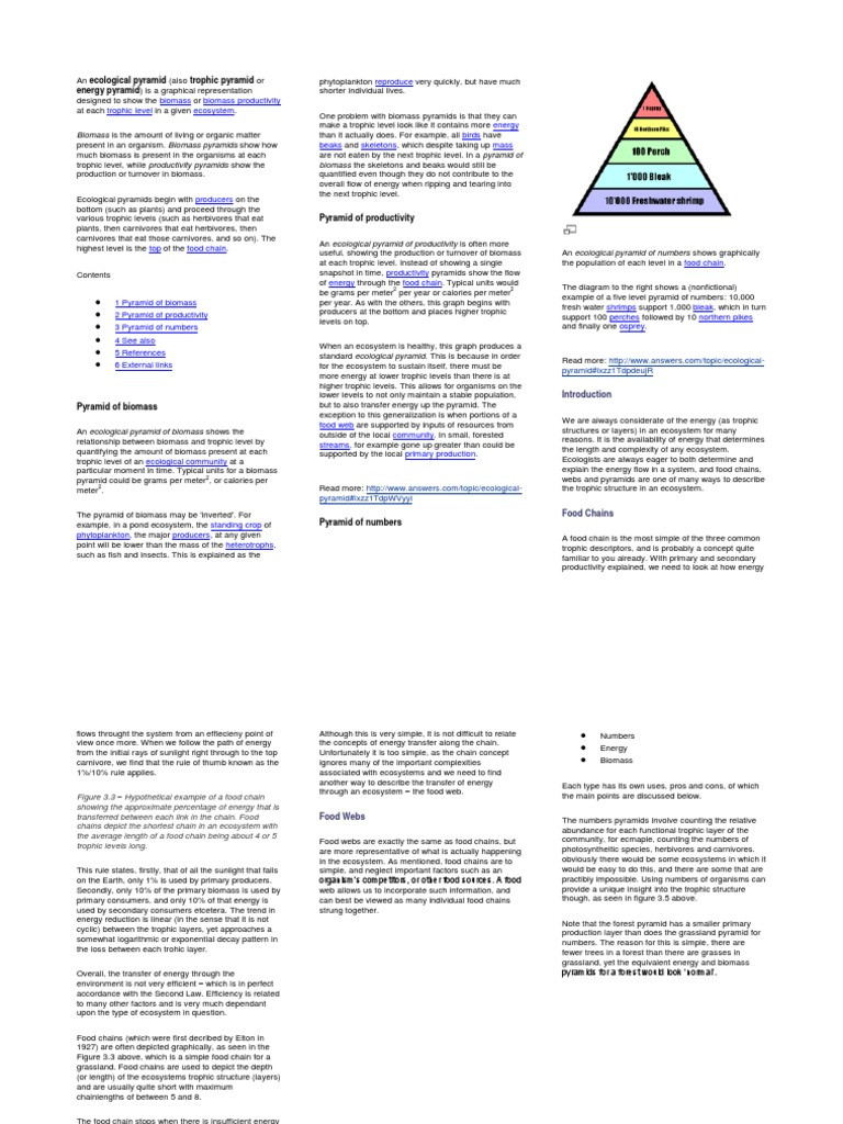 Ecological Pyramids Worksheet Answer Key