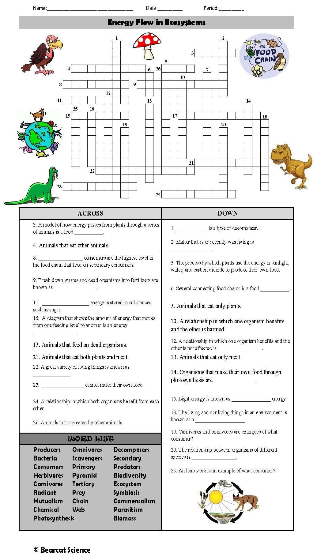 Ecological Pyramids Worksheet Answer Key Ecological Pyramids Worksheet