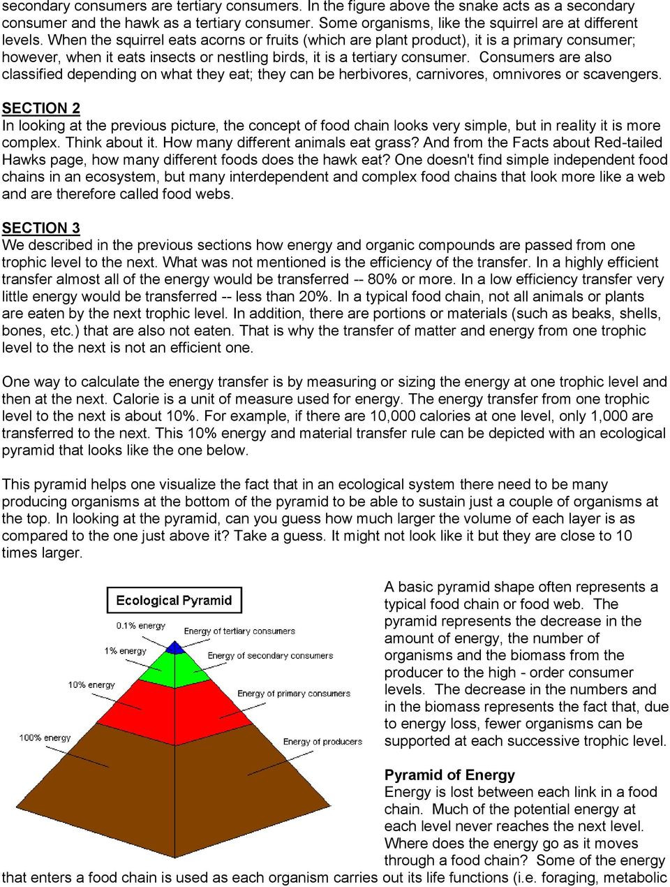 Ecological Pyramids Worksheet Answer Key Food Chains Food Webs and Ecological Pyramids Pdf Free