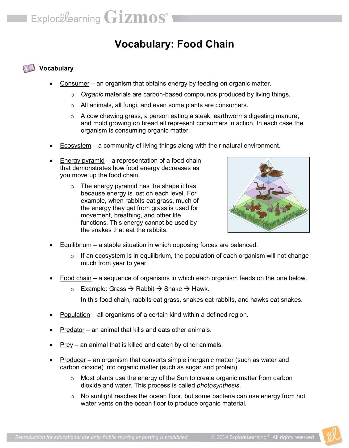 Ecological Pyramids Worksheet Answer Key Pin On Printable Blank Worksheet Template