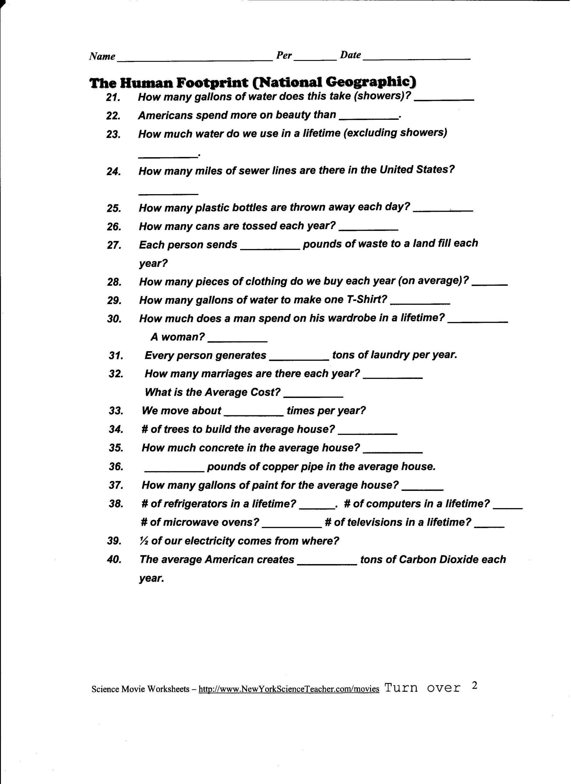 Ecological Pyramids Worksheet Answer Key the Energy Pyramid Worksheet Answers