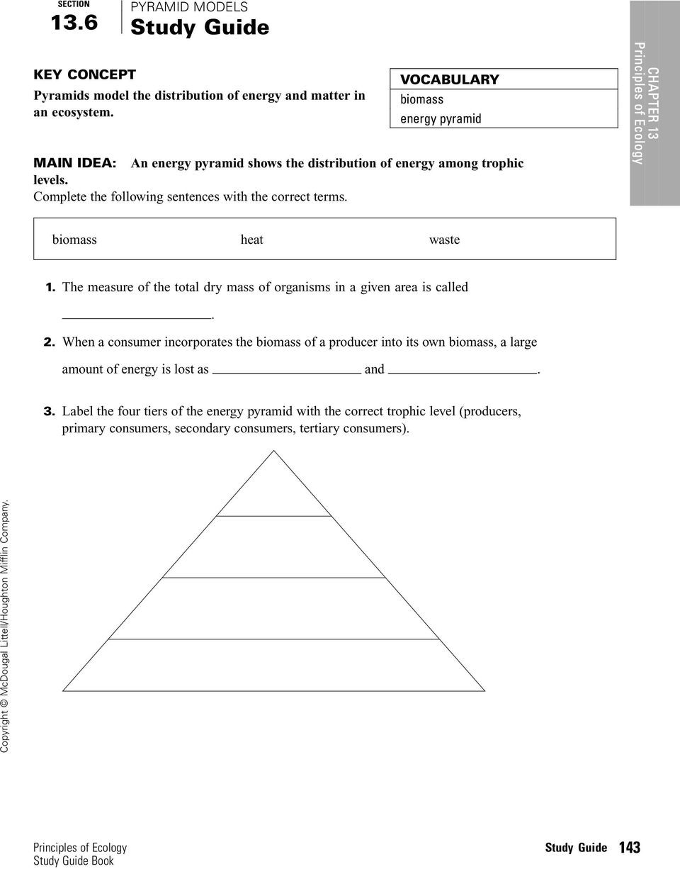 Ecological Pyramids Worksheet Answer Key | Worksheet for Education