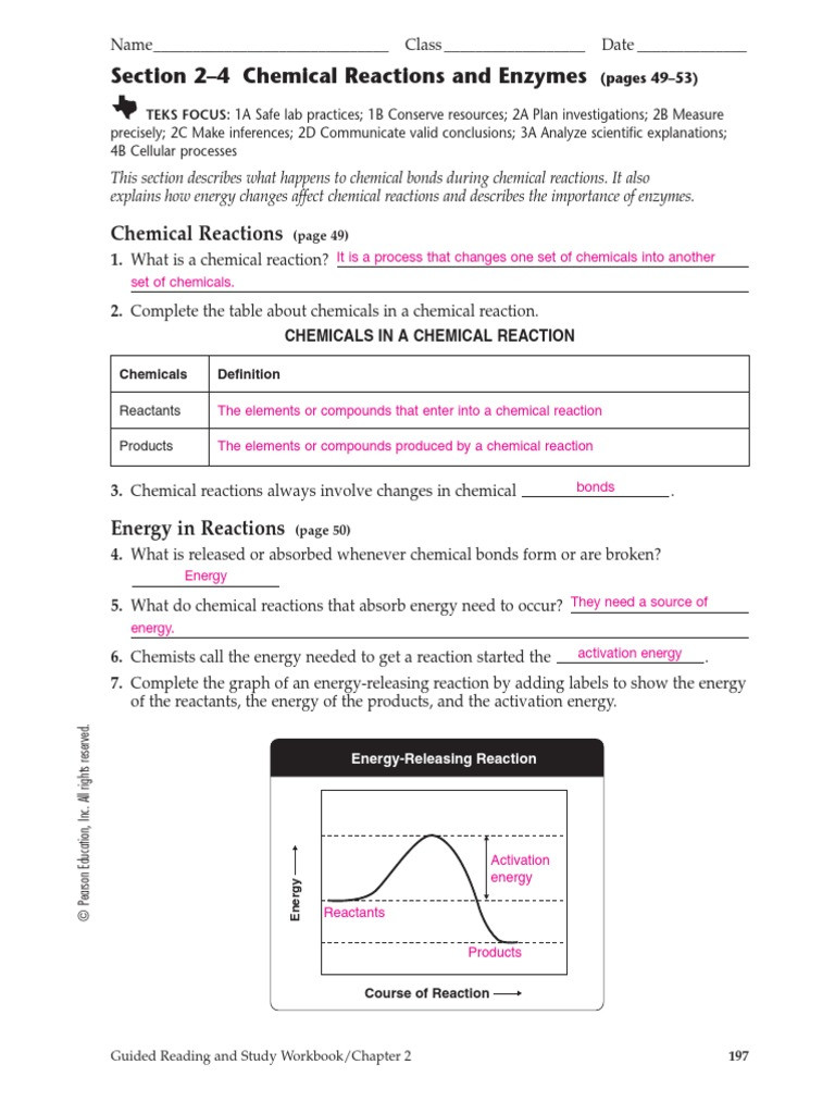 Enzyme Reactions Worksheet Answer Key 2 4 Workbook Answers Enzyme