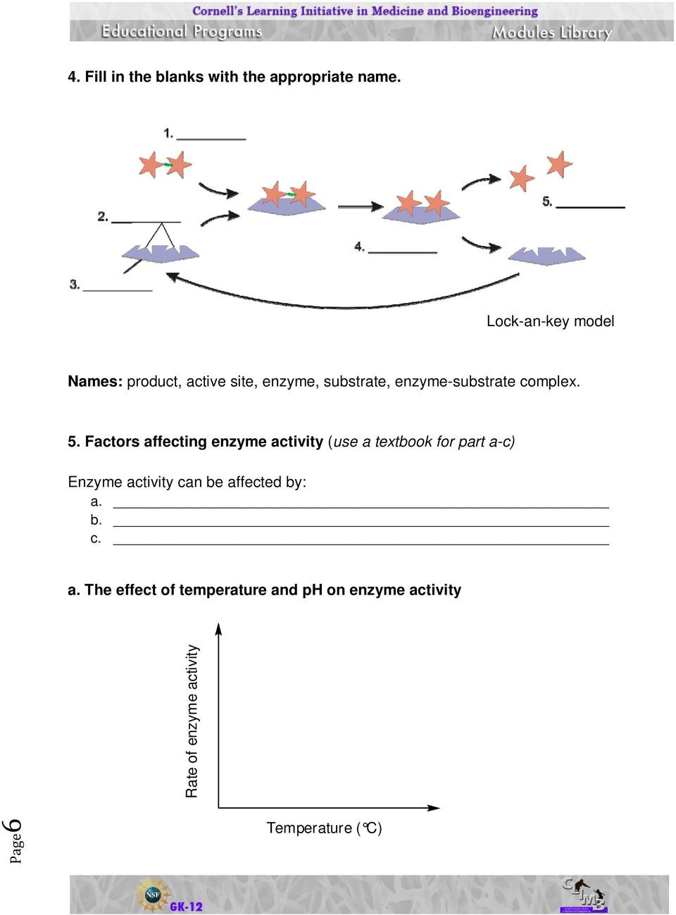 Enzyme Reactions Worksheet Answer Key Activity Sheets Enzymes and their Functions Pdf Free Download