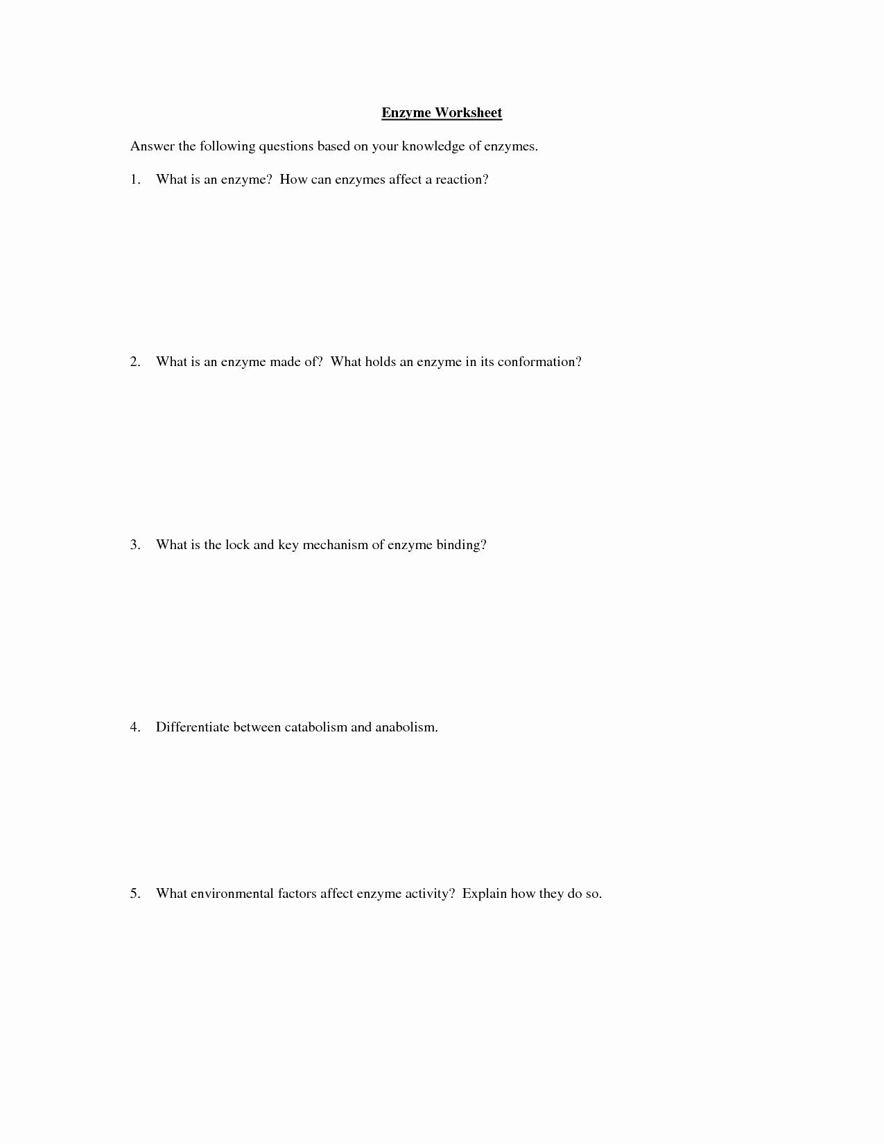 Enzyme Reactions Worksheet Answer Key Enzyme Reactions Worksheet Answer Key Luxury 12 Best