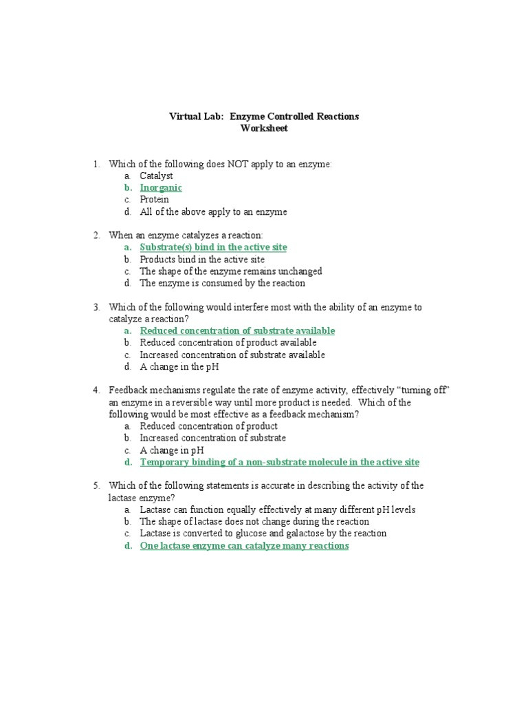 Enzyme Reactions Worksheet Answer Key top Ten Floo Y Wong Artist — Virtual Lab Enzyme Controlled