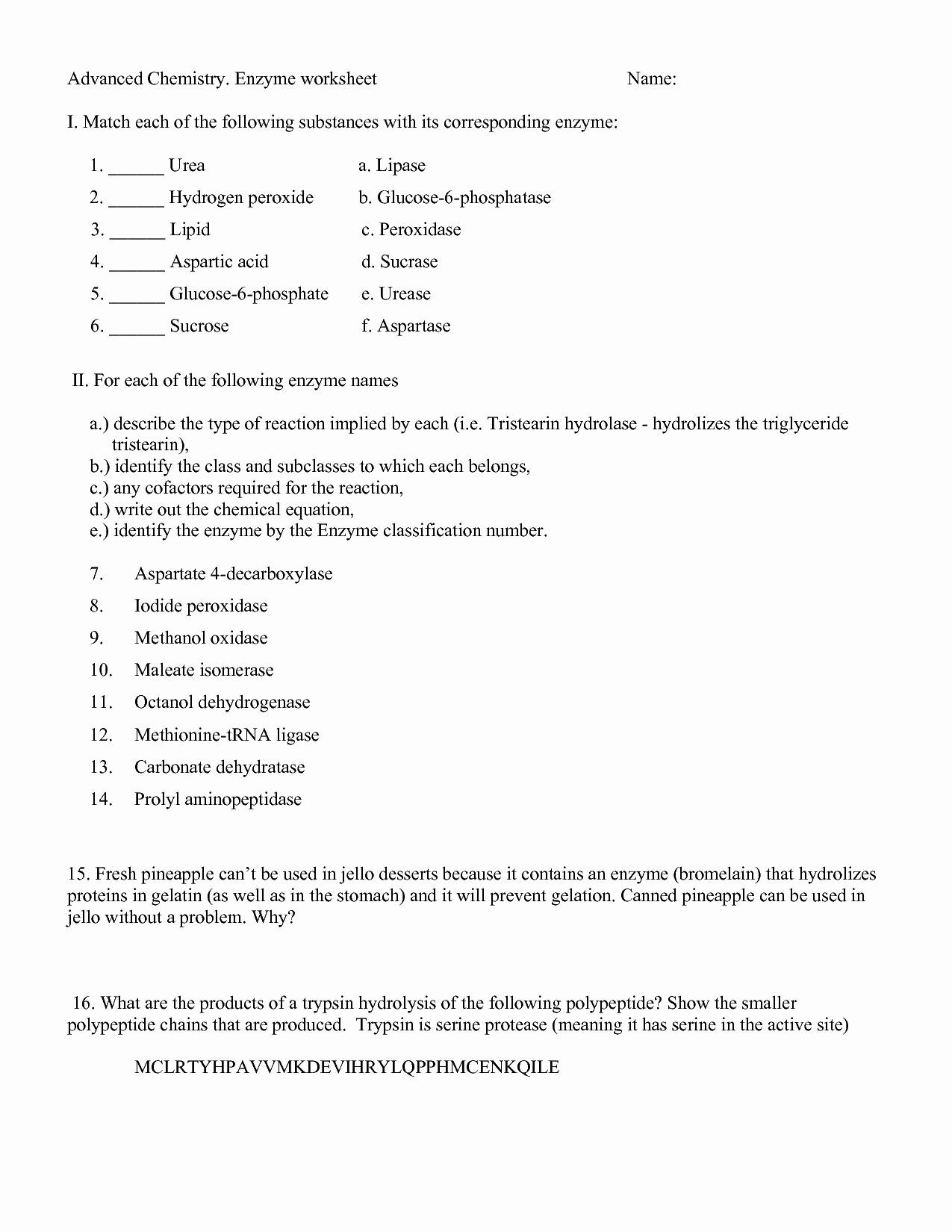 Enzyme Review Worksheet Answers Pin On Customize Design Worksheet Line