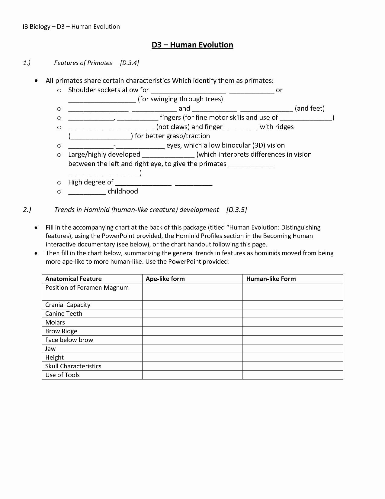 Evidence Of Evolution Worksheet Worksheet For Education