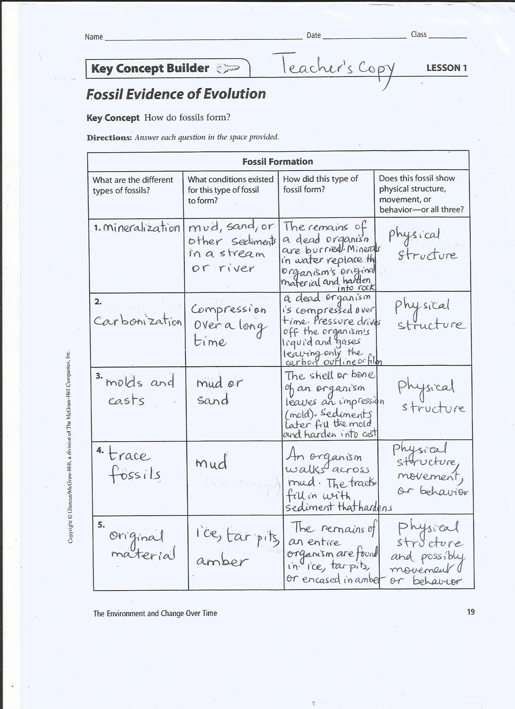 Evidence Of Evolution Worksheet Answers New Ficial Evidence Evolution Worksheet Answers
