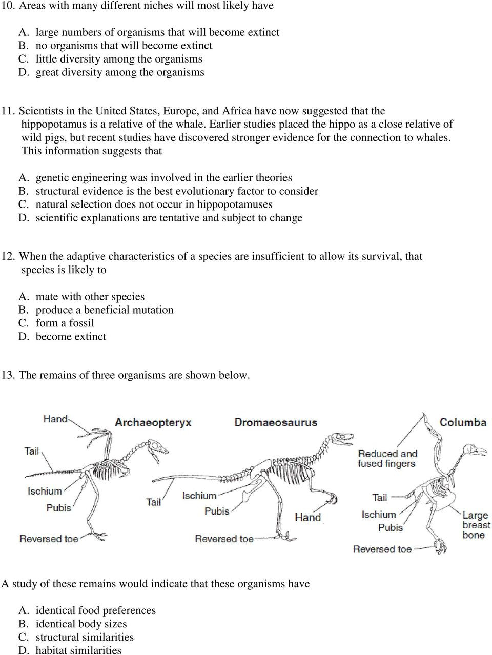 Evidence Of Evolution Worksheet Answers Practice Questions 1 Evolution Pdf Free Download