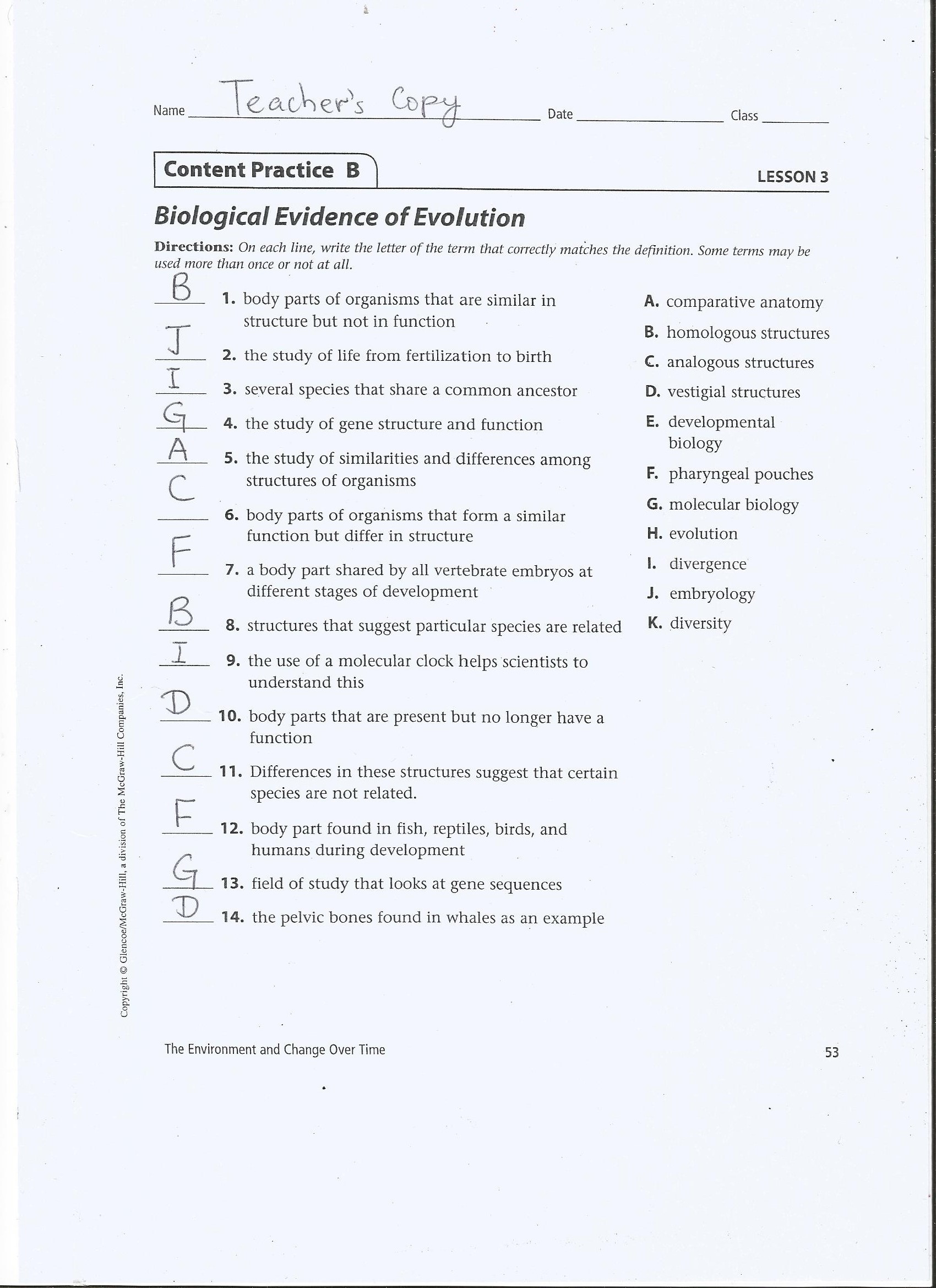 Evidence Of Evolution Worksheet Chapter 6 Grade 7 Science