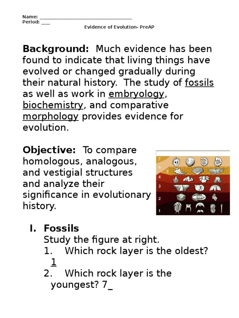 Evidence Of Evolution Worksheet Evidence Of Evolution Worksheet Murch 2013answers