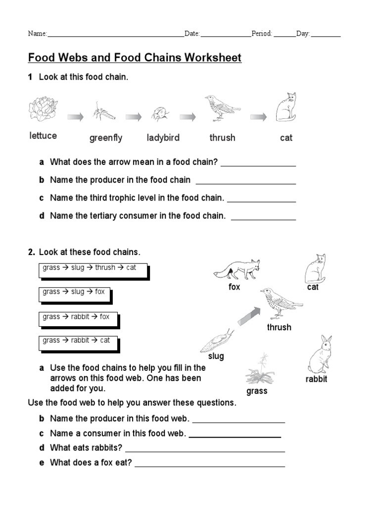 Food Chains and Webs Worksheet Ecology and Genetics Packet Genotype