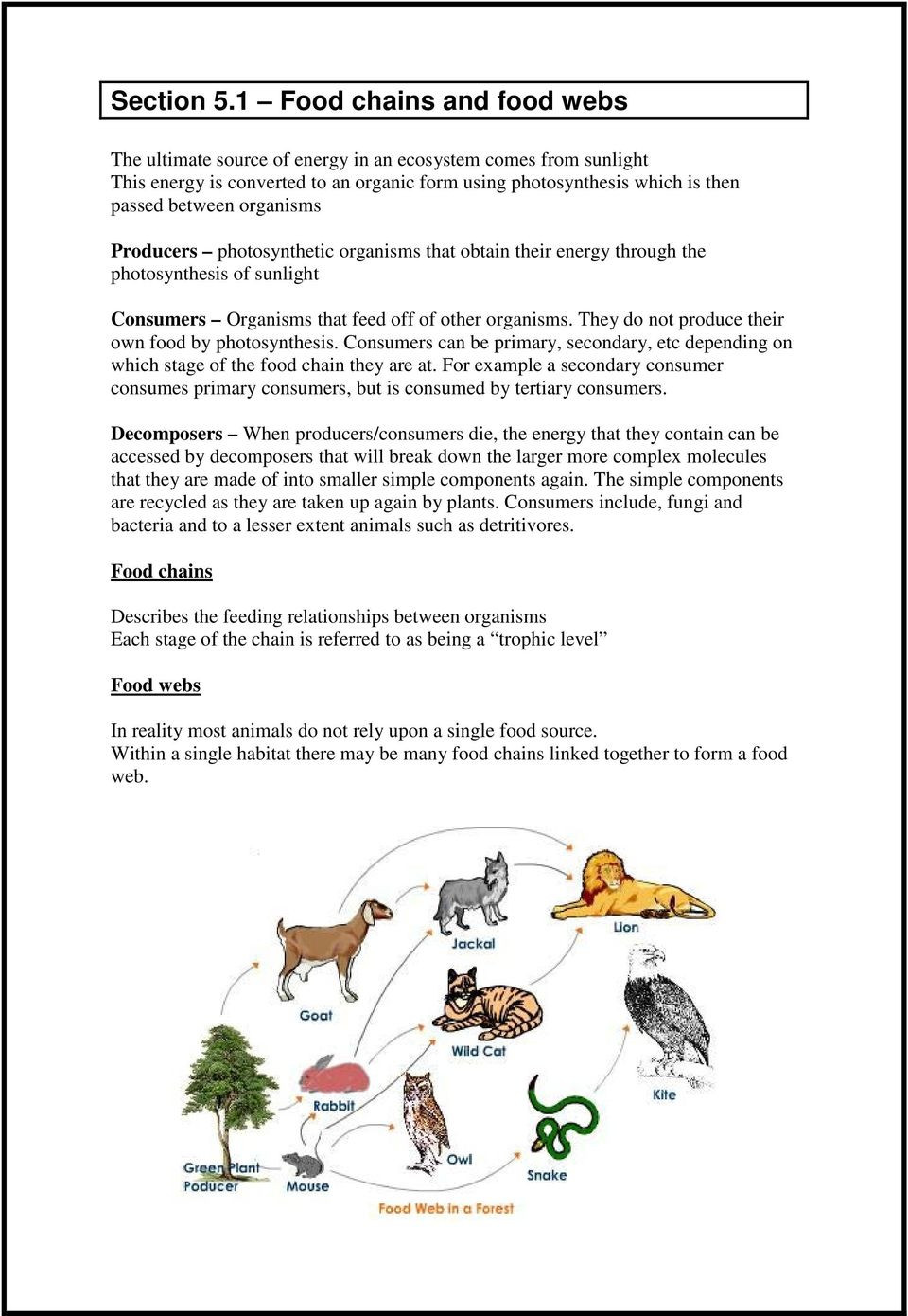 Food Chains and Webs Worksheet Section 5 1 Food Chains and Food Webs Pdf Free Download