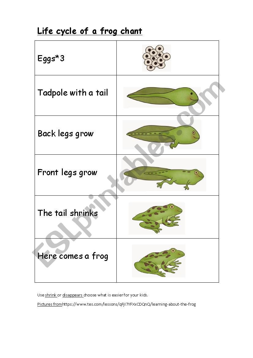 Frog Life Cycle Worksheet Chant Frog Lifecycle Esl Worksheet by Emaratia