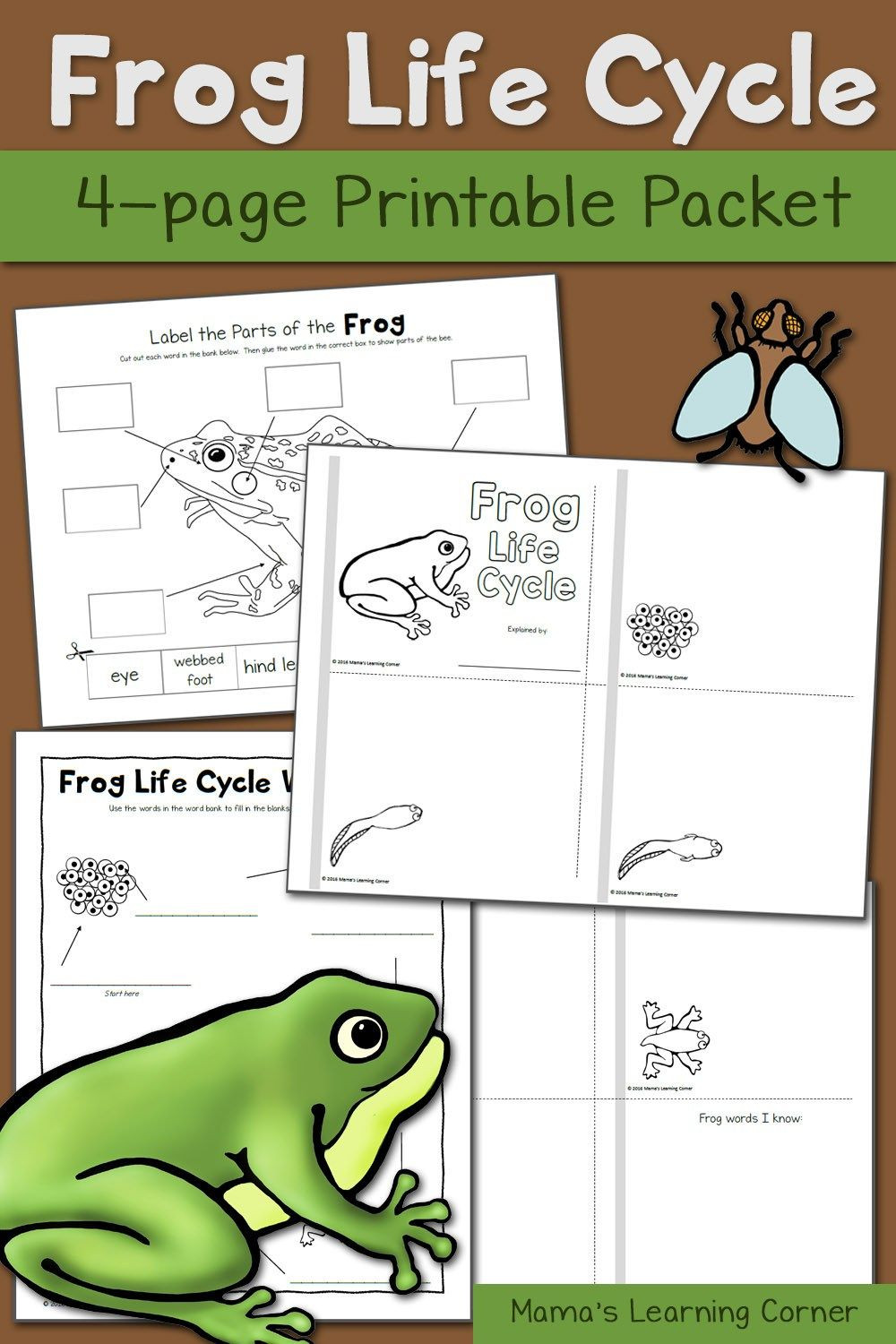 Frog Life Cycle Worksheet Frog Life Cycle Worksheets In 2020