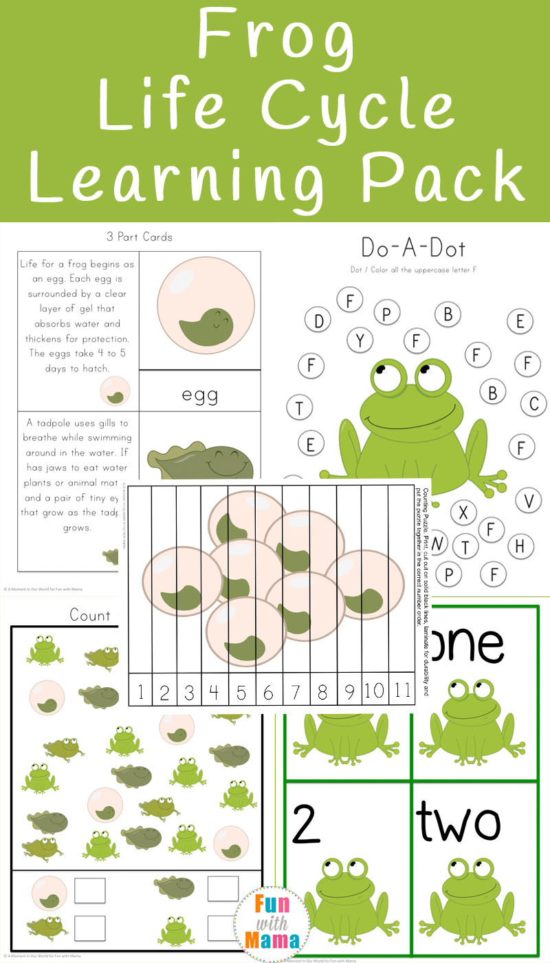 Frog Life Cycle Worksheet Life Cycle A Frog for Kids Fun with Mama