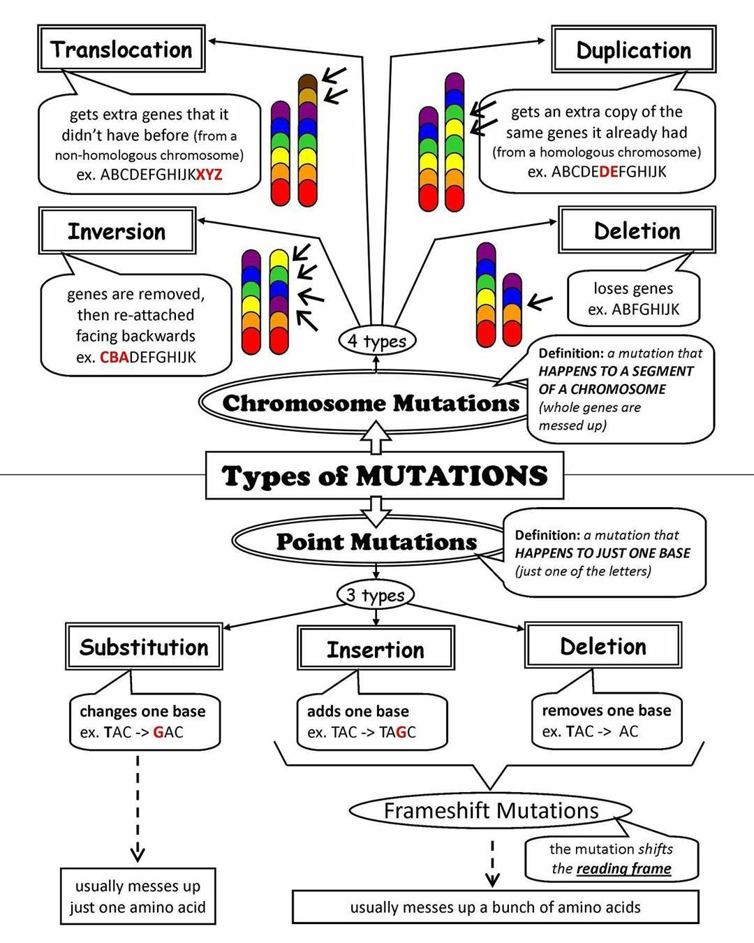 Gene and Chromosome Mutation Worksheet Pin On Science Study Stuff