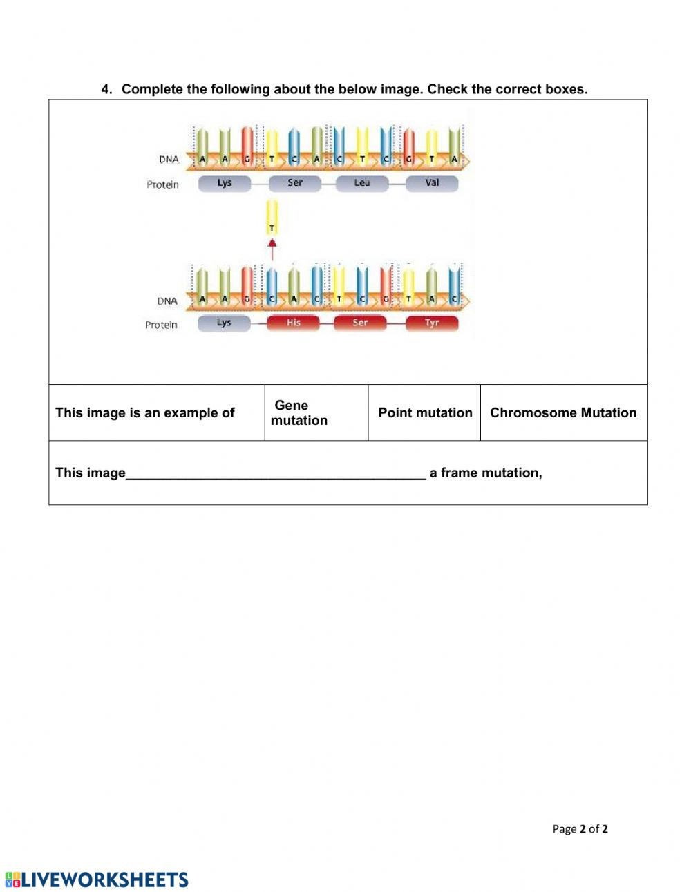Genetic Mutations Worksheet Answer Key
