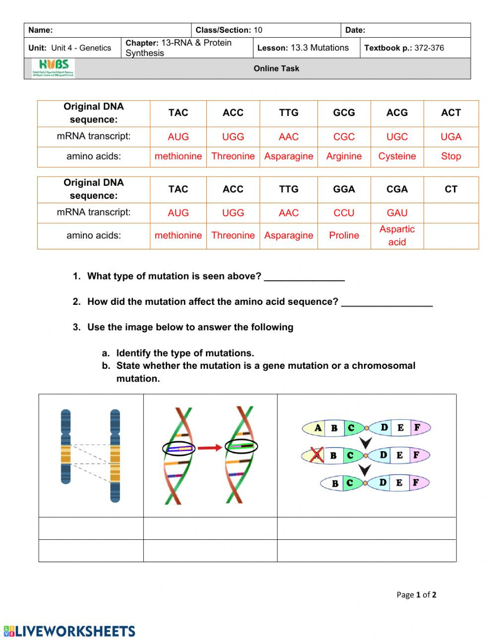 Genetic Mutation Worksheet Answer Key Ch13 3 Mutation Interactive Worksheet