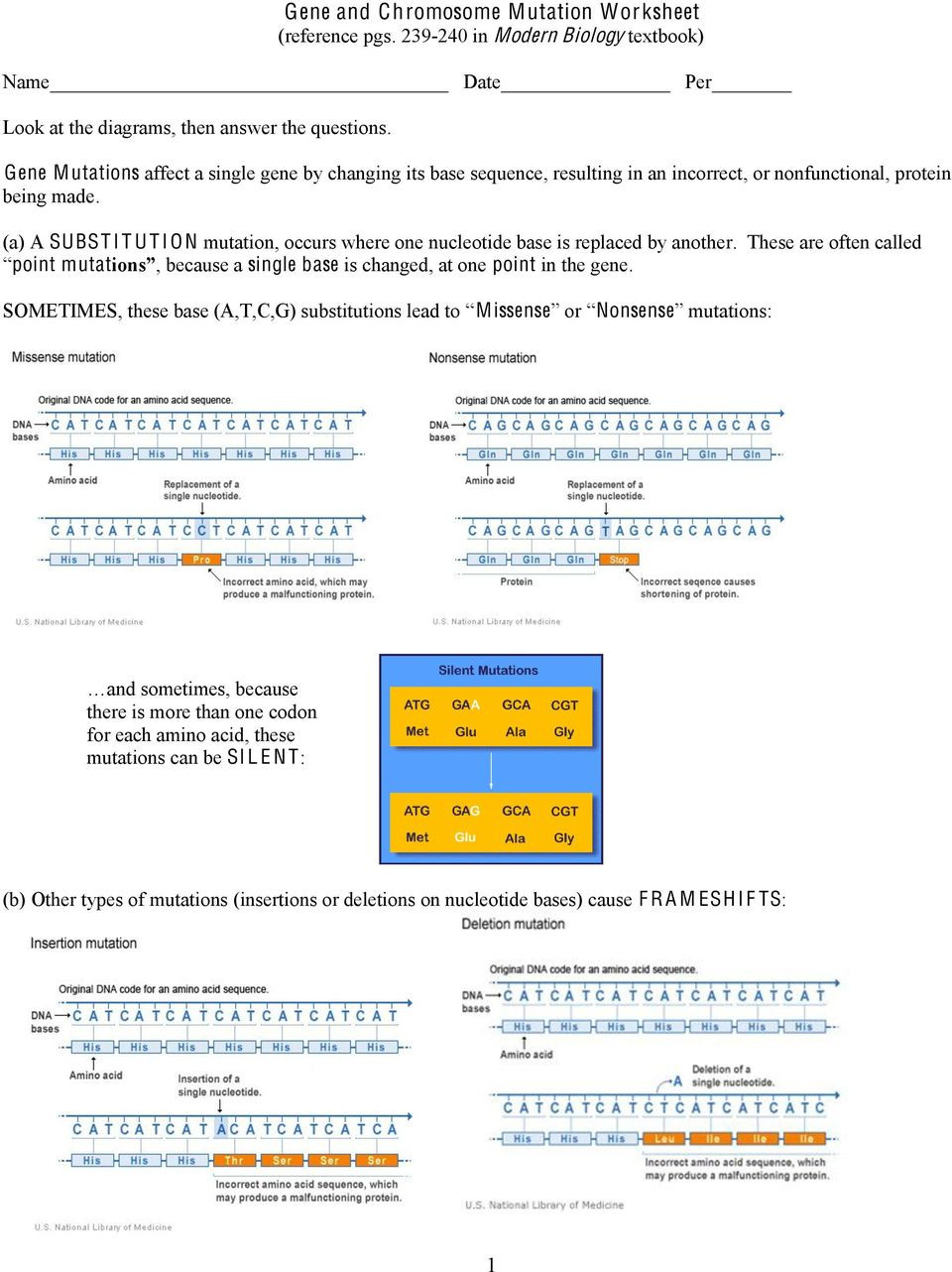 Genetic Mutation Worksheet Answer Key