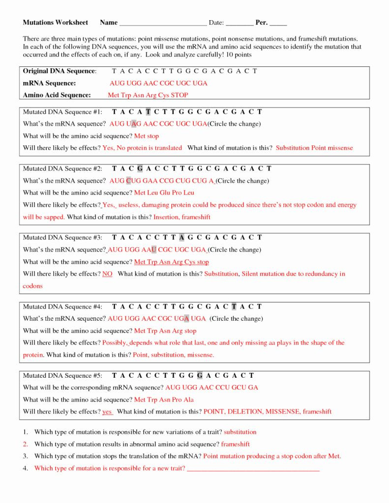 Genetic Mutation Worksheet Answer Key Worksheet For Education