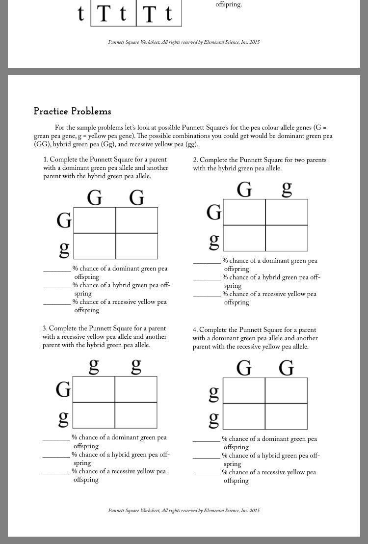 Genetics Practice Problems Simple Worksheet Pin On Printable Blank Worksheet Template