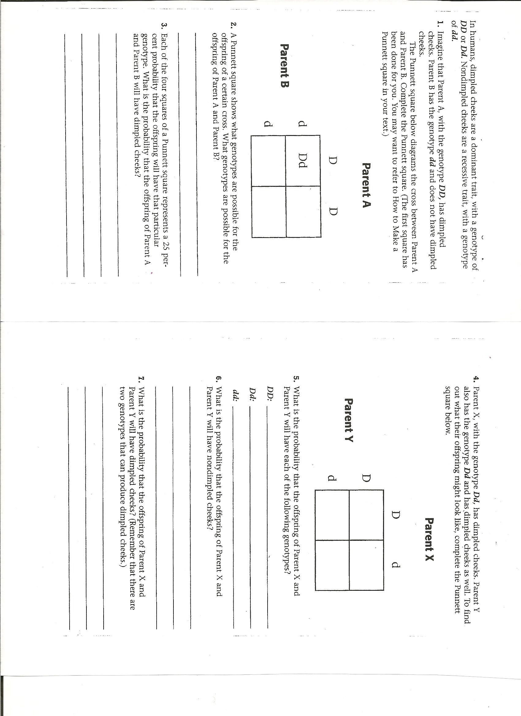 Genetics Practice Problems Simple Worksheet Worksheet Punnett Square Practice Worksheet Hunterhq Free