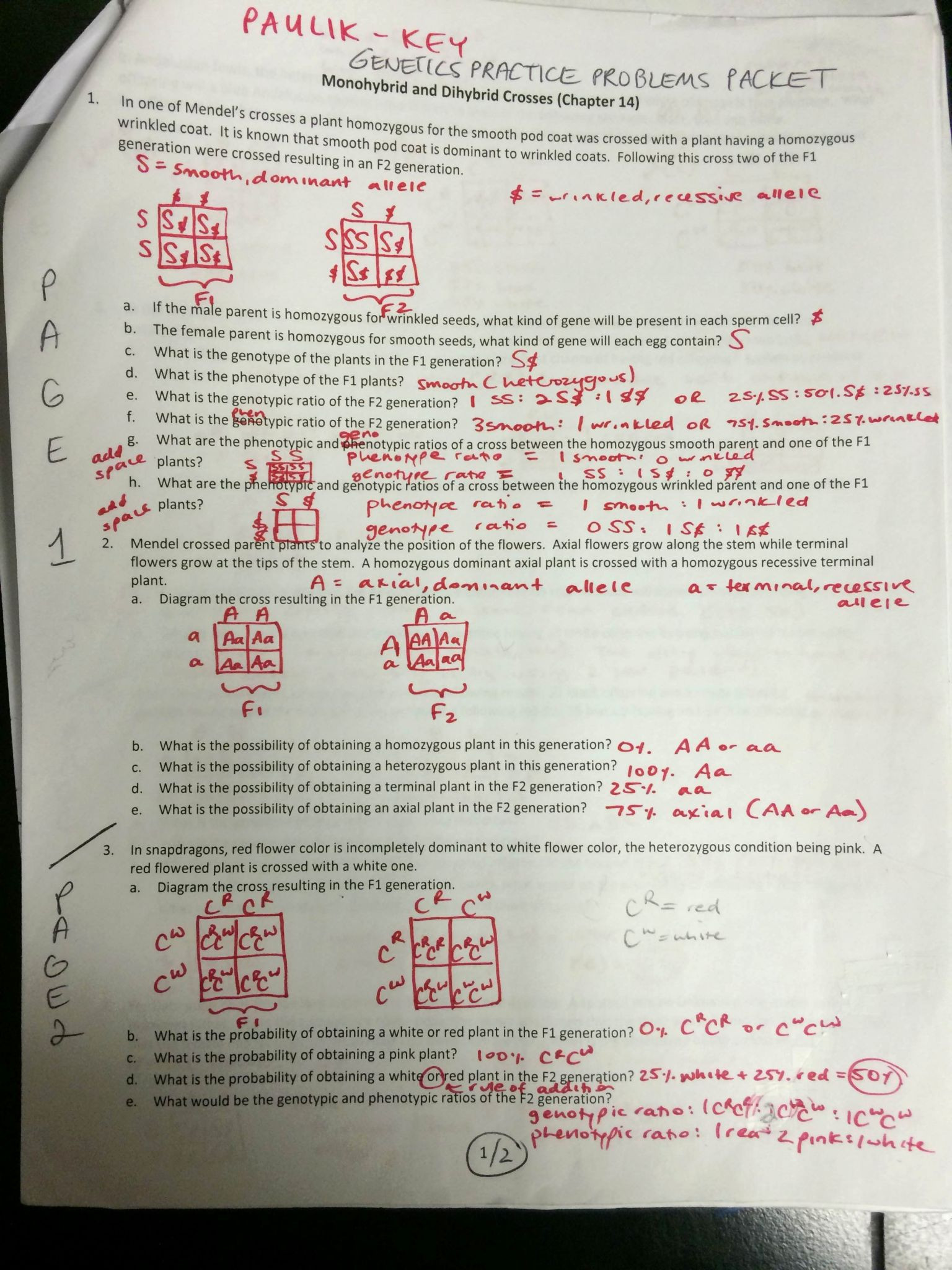 Genetics Problems Worksheet Answers 35 Punnett Square Practice Problems Worksheet Answers