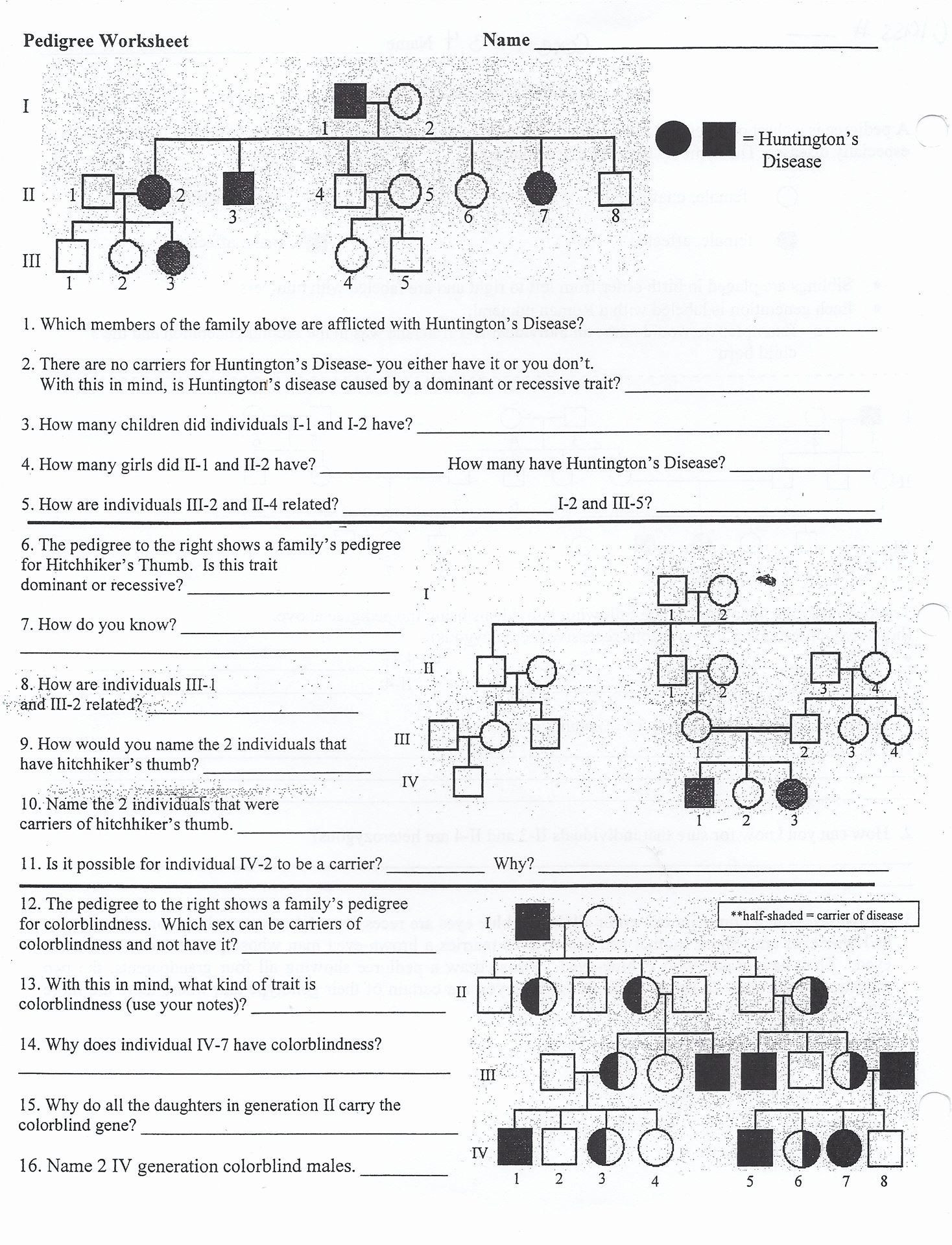 Genetics Worksheet Middle School Genetics Worksheet Middle School Fresh Making It as A Middle