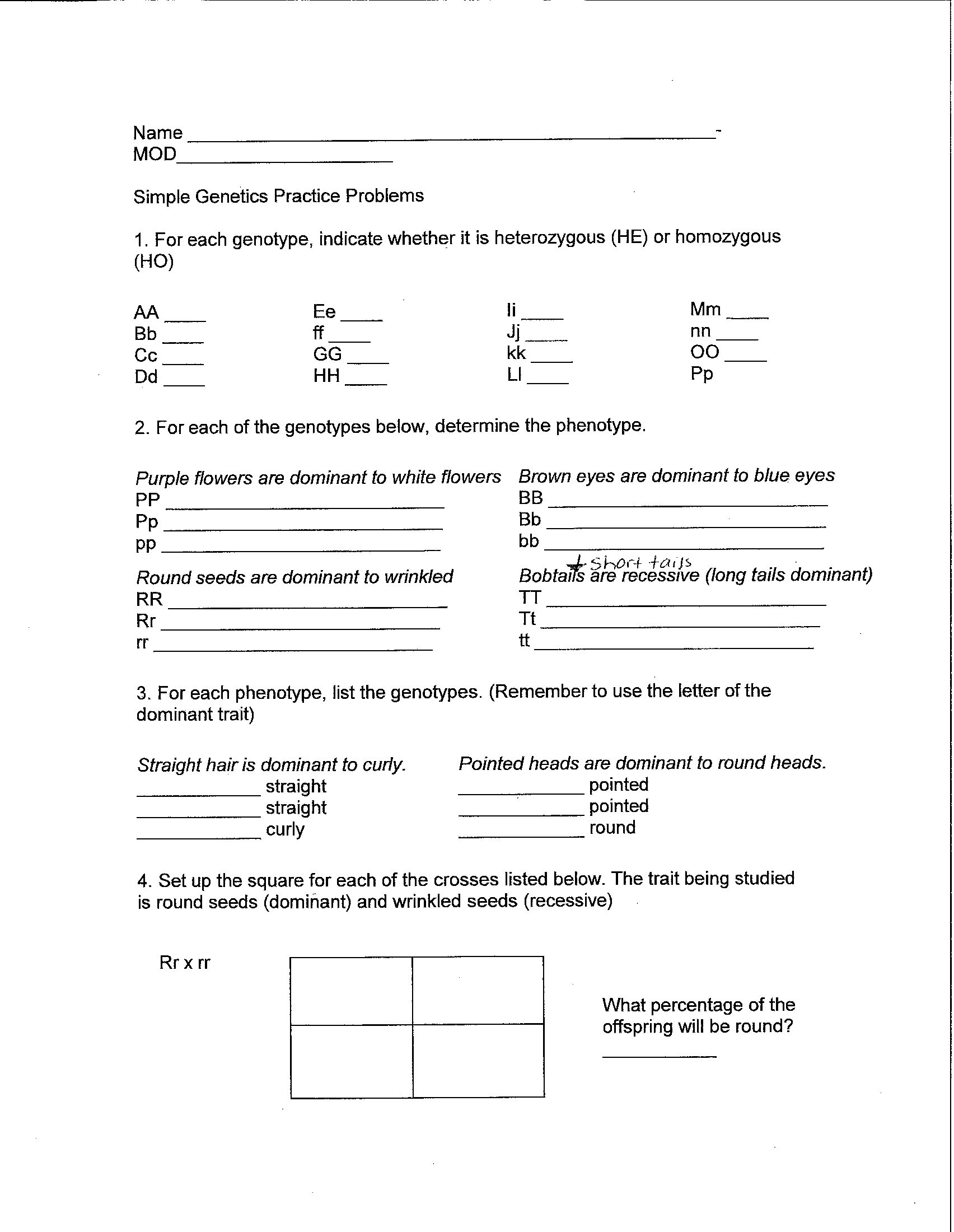 Genetics Worksheet Middle School Speeches Online to An Essay About Yourself Muslim