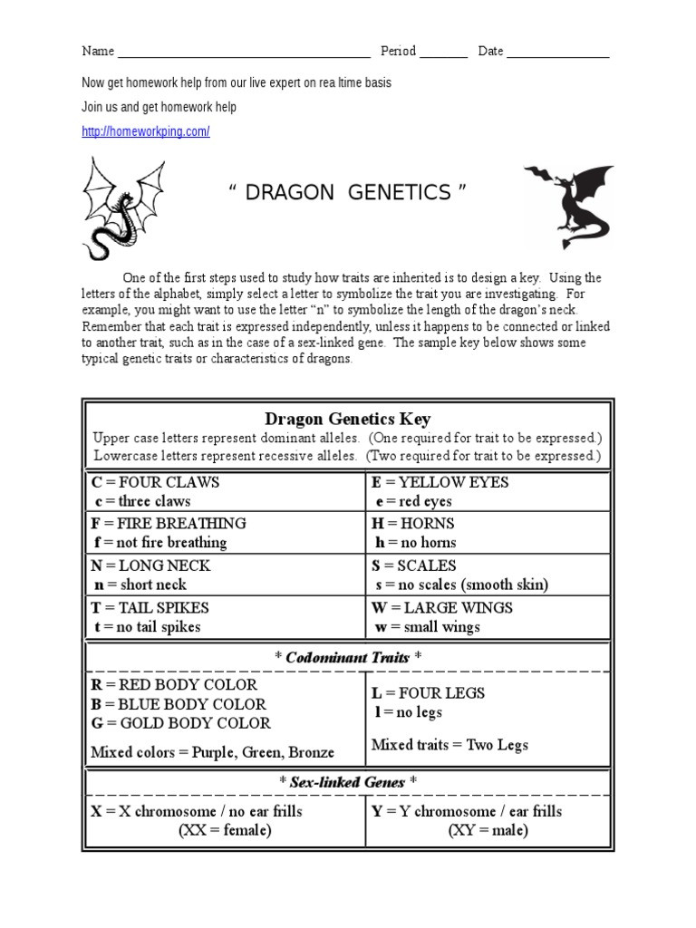 Genetics X Linked Genes Worksheet Dragon Genetics Worksheet