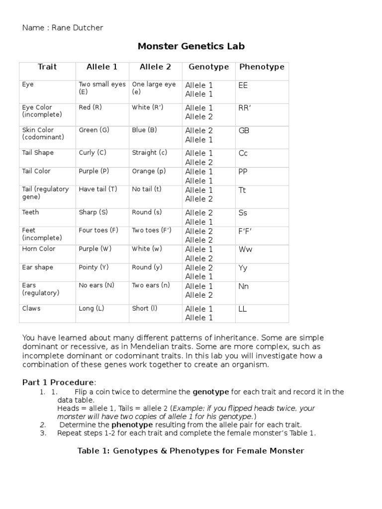 Genotypes and Phenotypes Worksheet Answers Genetics Worksheet Answers Key Promotiontablecovers