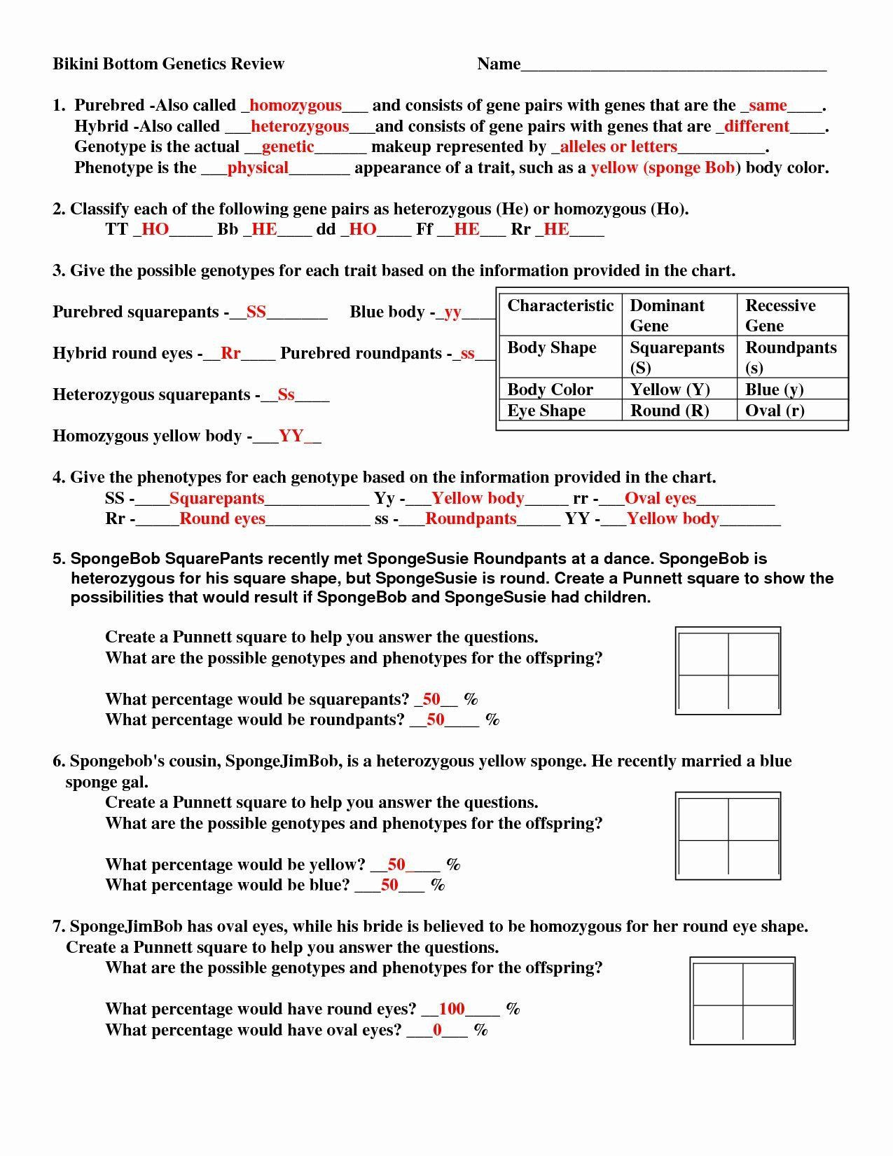 Genotypes and Phenotypes Worksheet Answers Pin On Printable Blank Worksheet Template