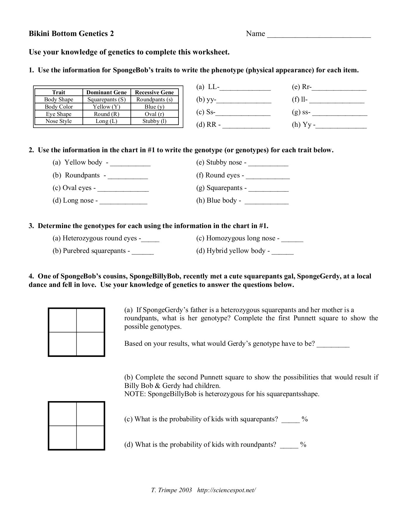 Genotypes and Phenotypes Worksheet Answers Use Your Knowledge Of Genetics to Plete This Worksheet