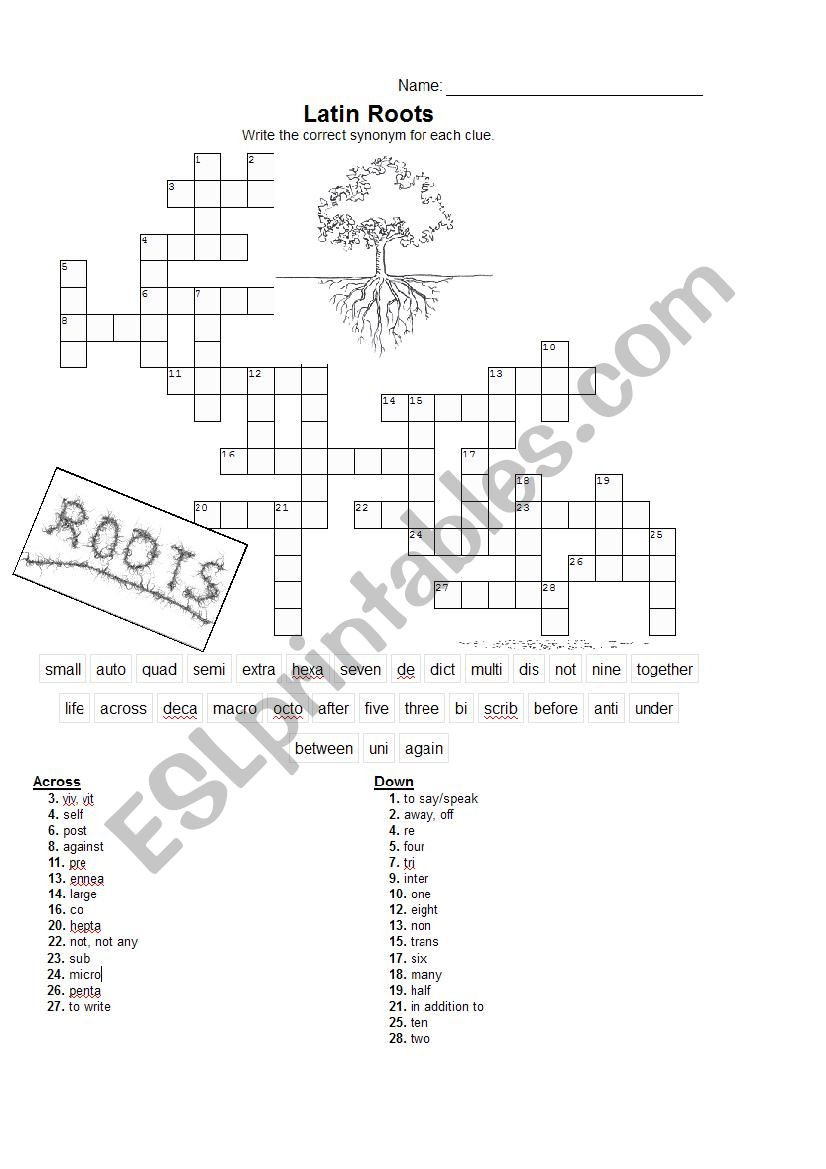 Greek and Latin Roots Worksheet Latin &amp; Greek Root Words Crossword &amp; Writing Exercise Esl