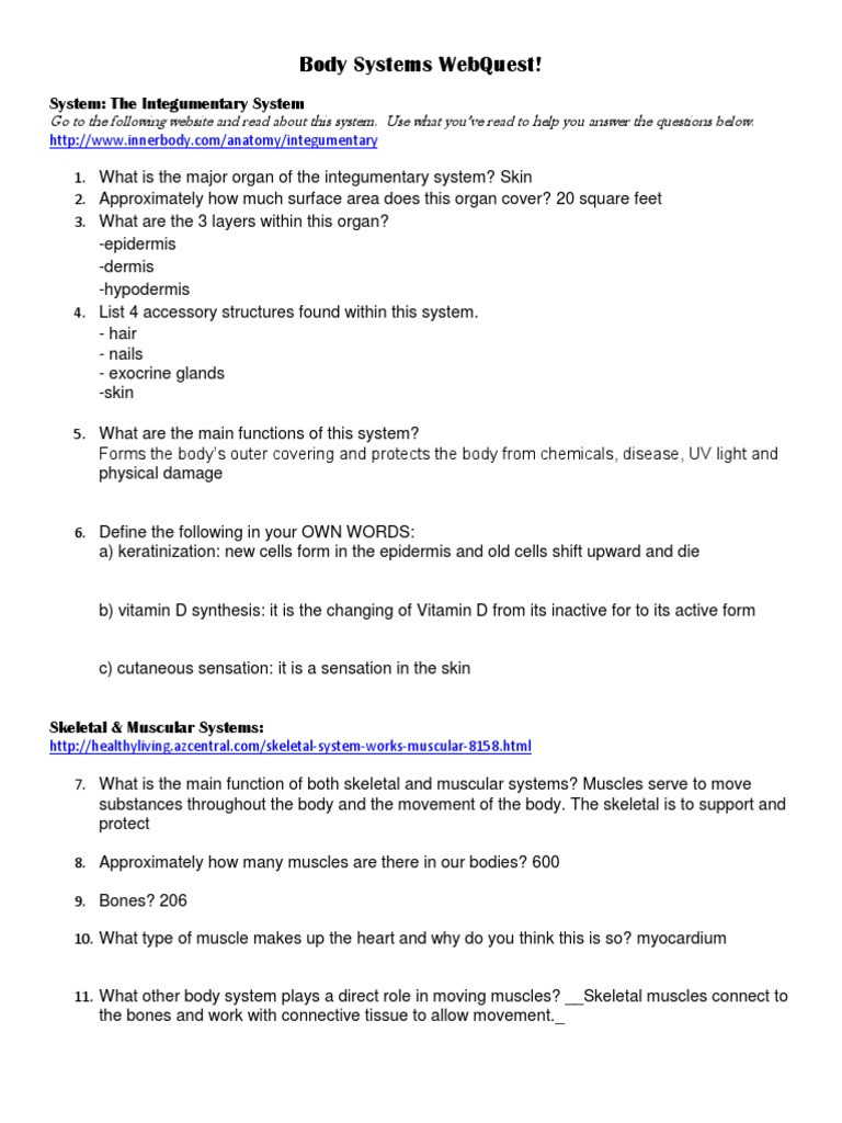 Integumentary System Worksheet Answers Body Systems Human Body