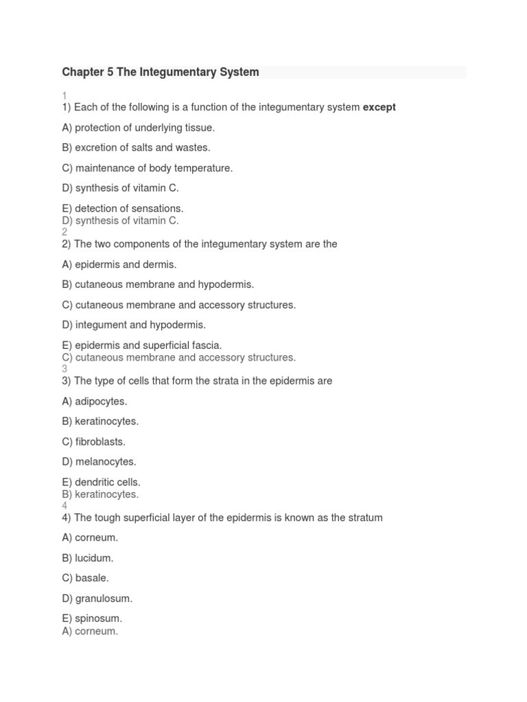 Integumentary System Worksheet Answers Chapter 5 the Integumentary System Epidermis
