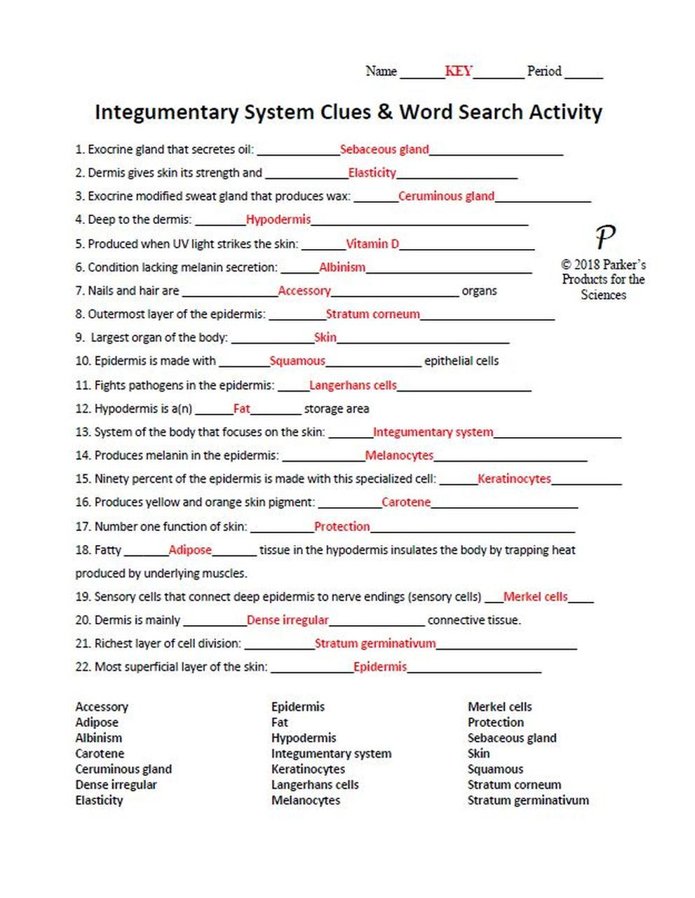 Integumentary System Worksheet Answers Integumentary System Clues and Quest and Word Search Activity