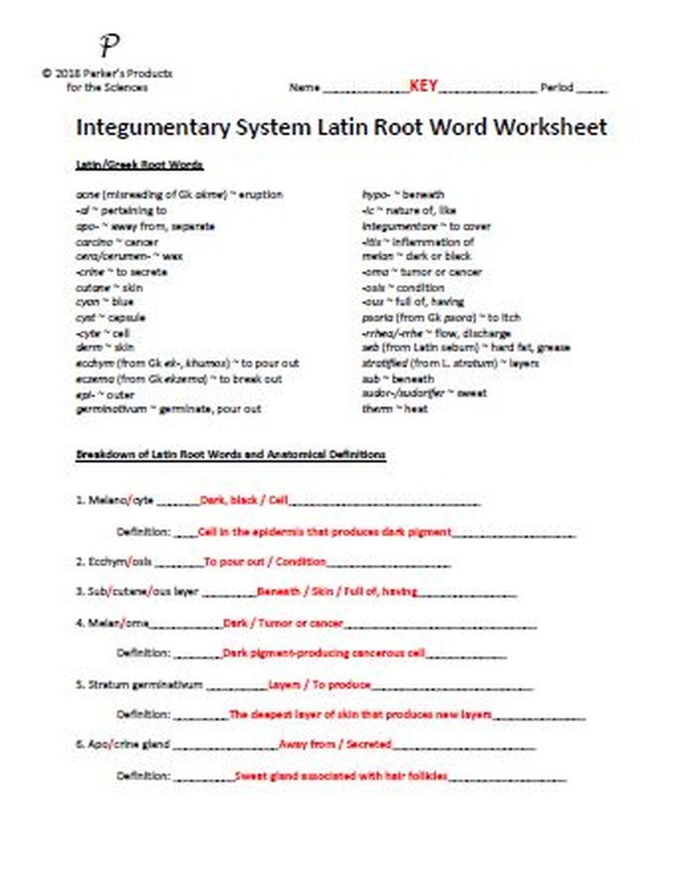 Integumentary System Worksheet Answers Integumentary System Latin Root Word Worksheet