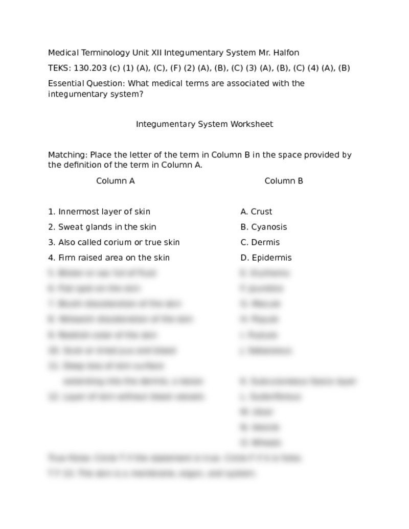 Integumentary System Worksheet Answers Integumentary System Worksheet