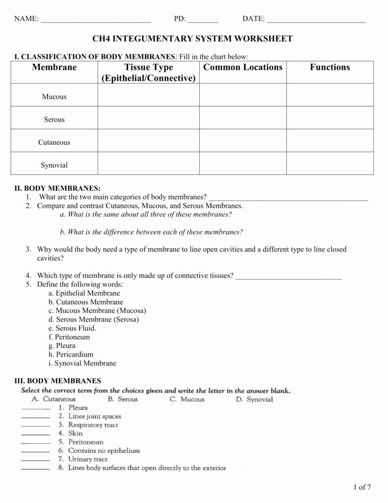 Integumentary System Worksheet Answers Pin On Customize Design Worksheet Line